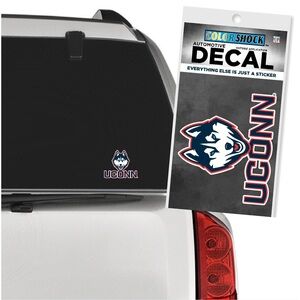 ⭐️UCONN Bumper Sticker⭐️